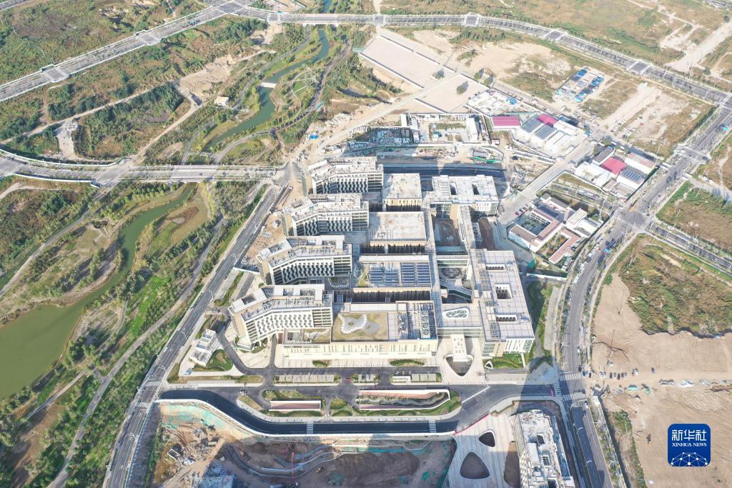天天斗地主兑换码2025